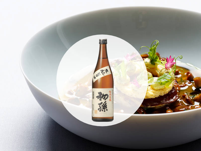 HATSUMAGO, Kimoto Tradition / Saltimbocca vom Kalbsbries